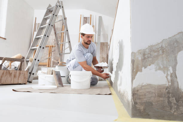 Best Basement Mold Removal  in Pike Road, AL