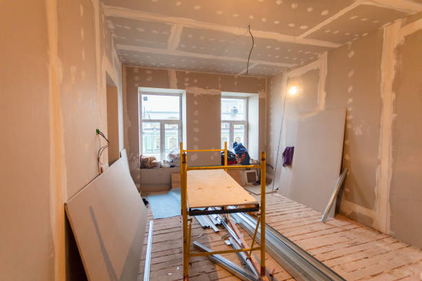 Best Attic Mold Removal  in Pike Road, AL