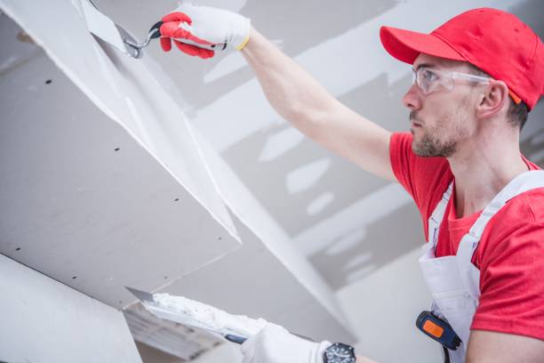 Best Post-Construction Mold Inspection  in Pike Road, AL
